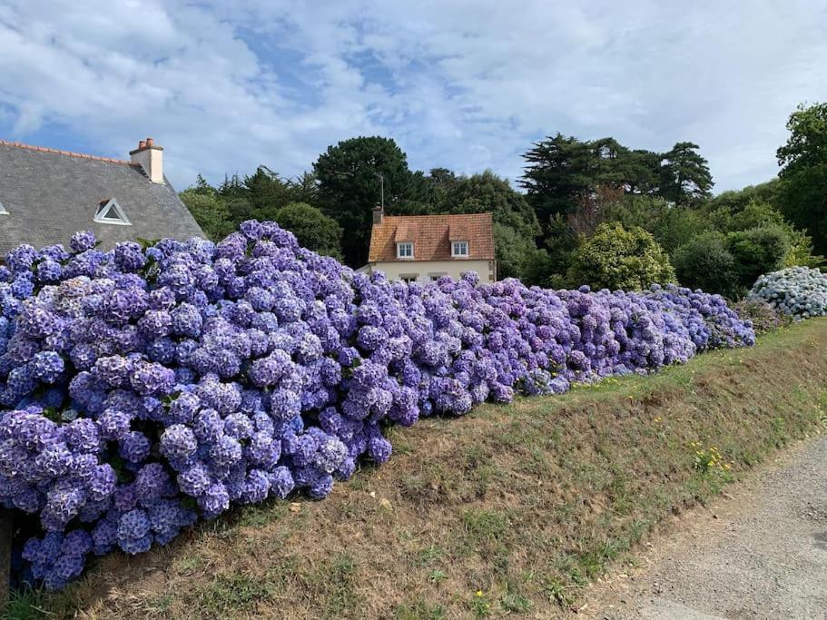 La Petite Bretonne Villa Plounerin Exteriör bild
