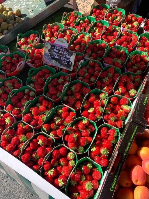 La Petite Bretonne Villa Plounerin Exteriör bild